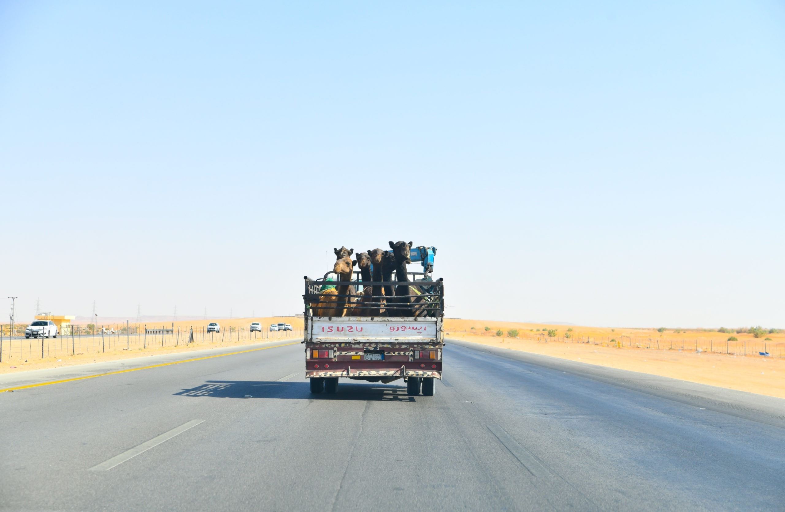 Saudi Drone Inspection