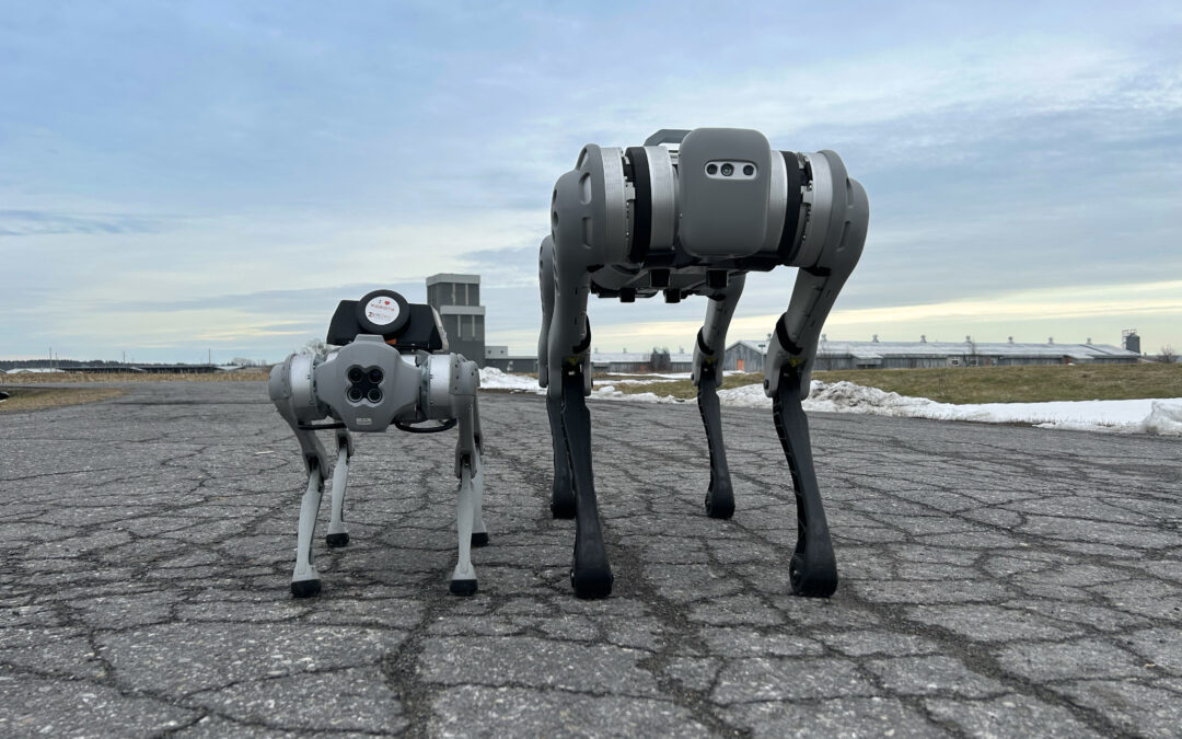 Unitree’s “dog” robots versatile, affordable
