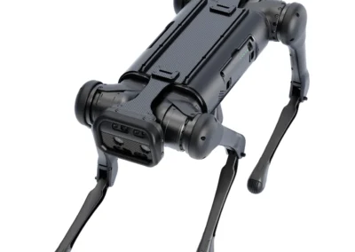 Quadruped