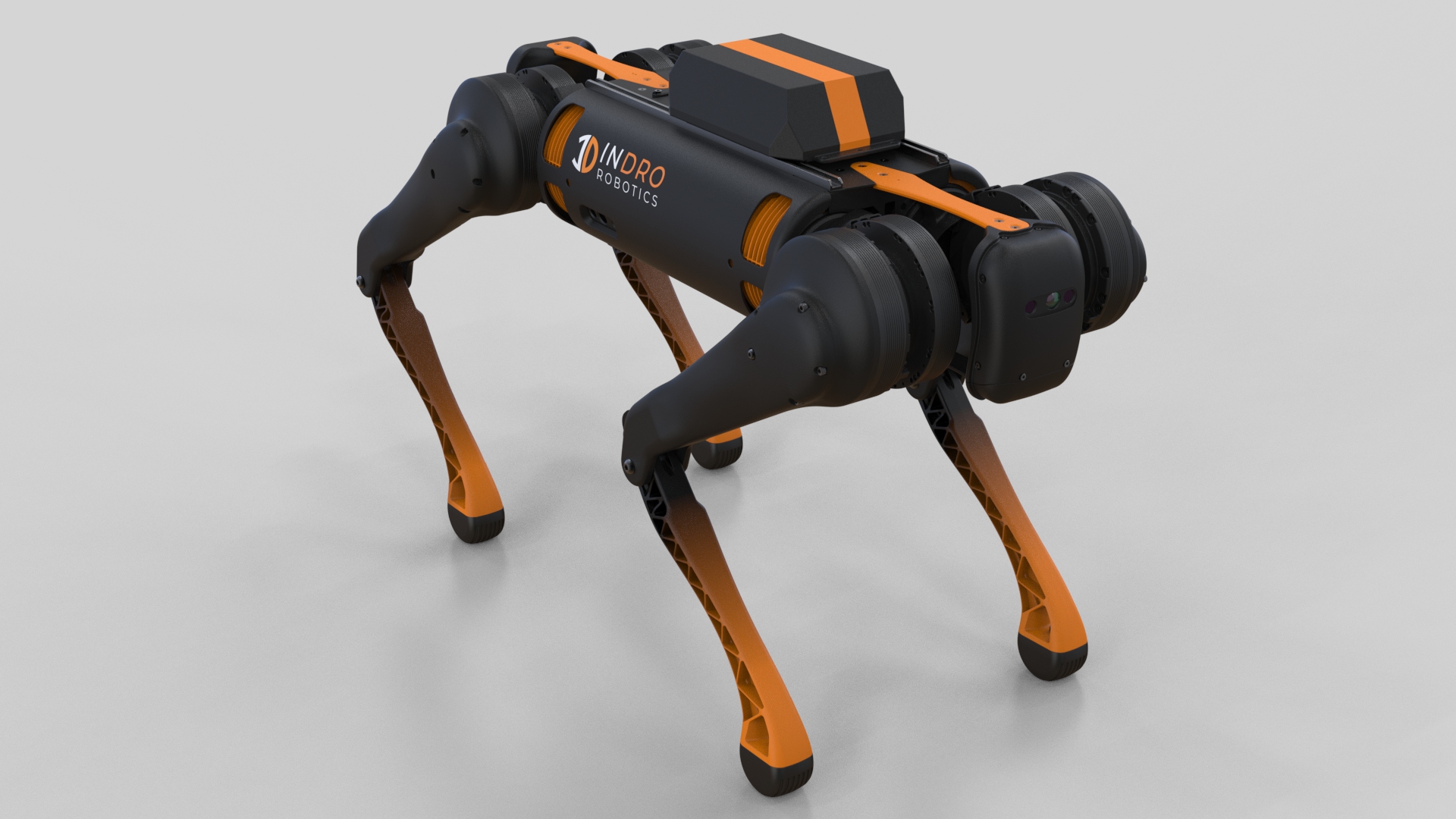 Quadrupeds
