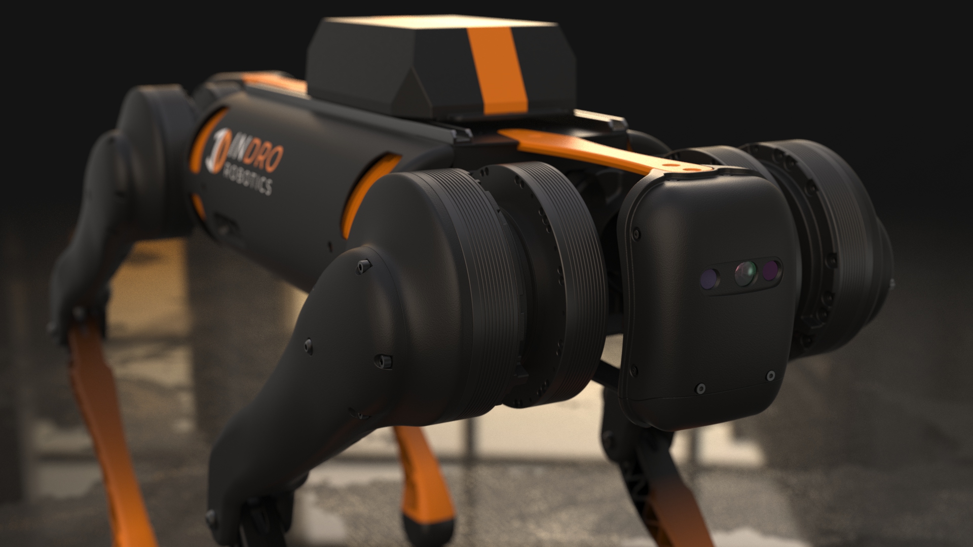 B1 Quadruped