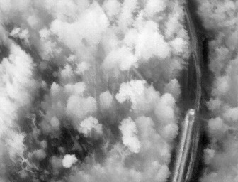 Emergency Response Drones