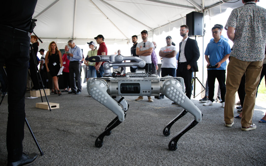 A closer look at Unitree’s growing line of quadruped robots