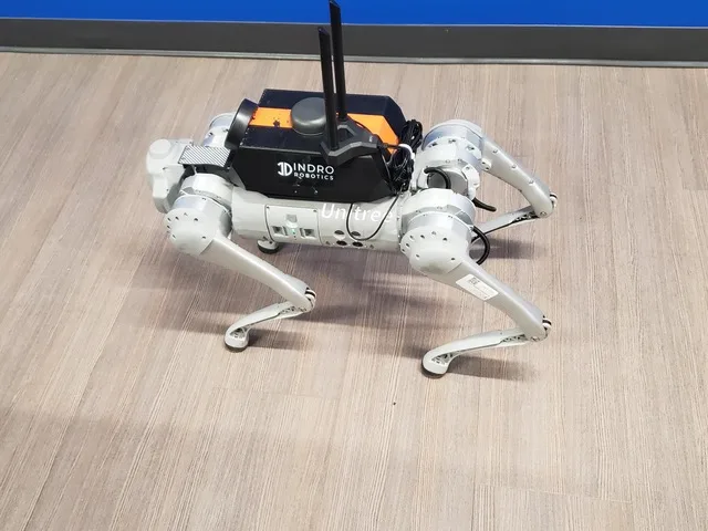 InDro Backpack Tallysman