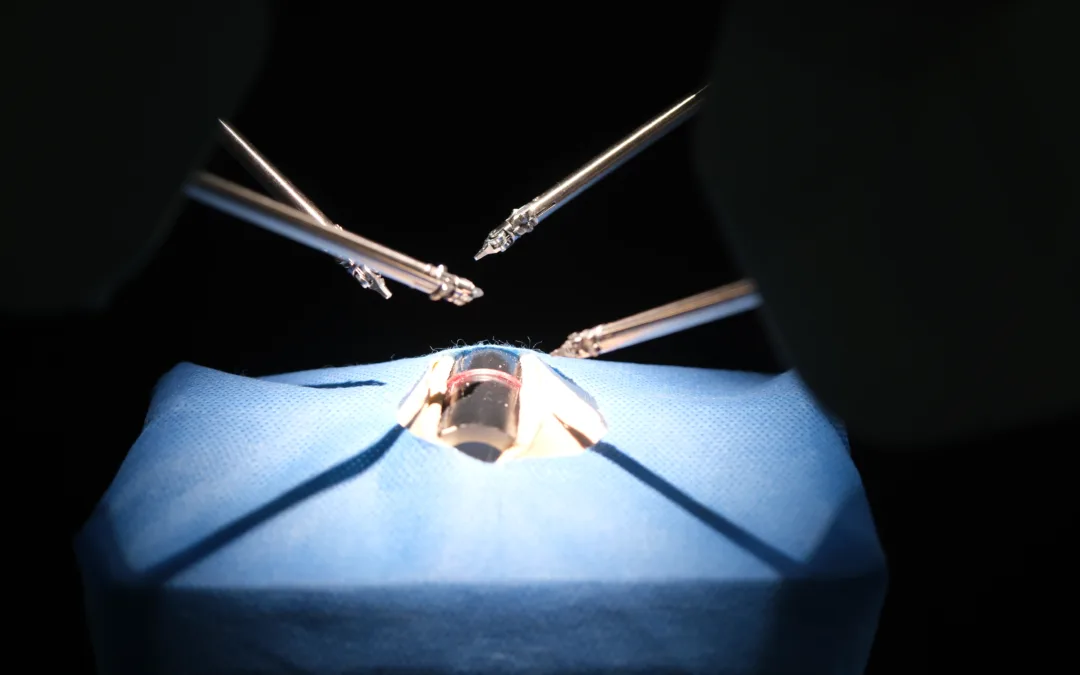 Assistive devices on the rise at Korea’s Robot World Conference