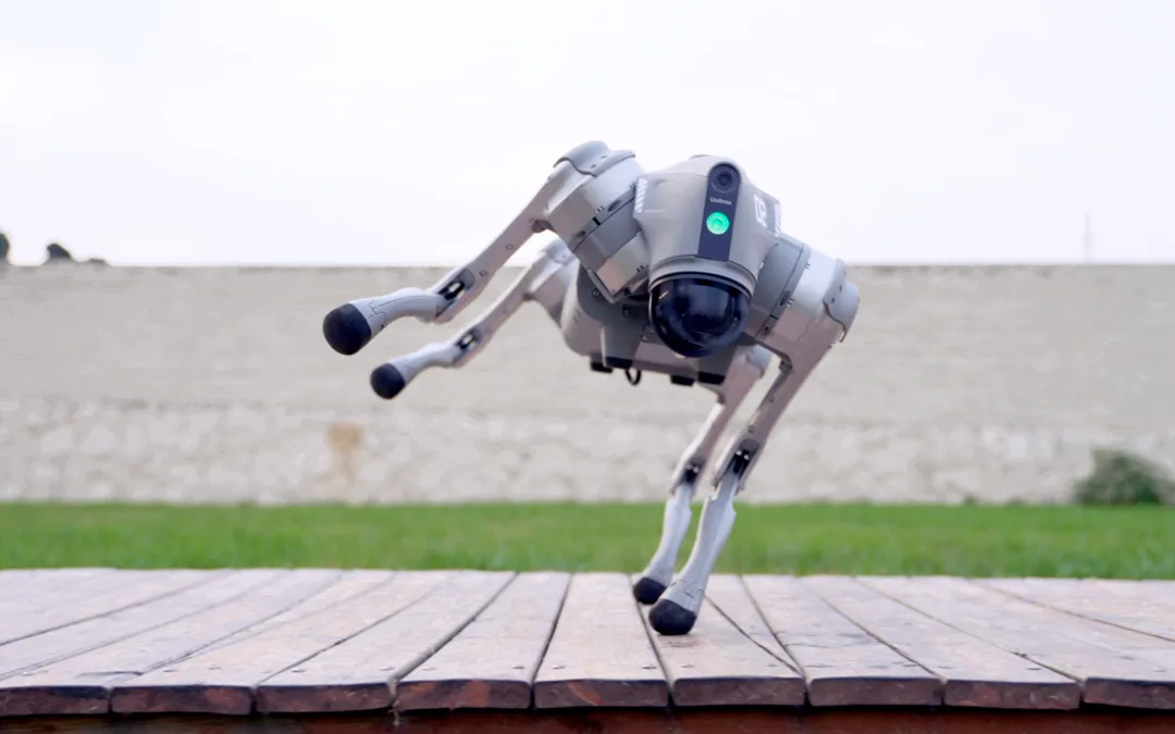 Good dogs: A look at the newest Unitree quadrupeds