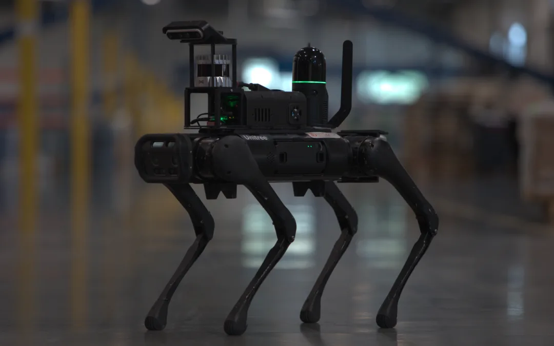 InDro Robotics looks back on 2024: It was a very good year