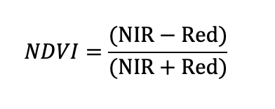 NDVI 