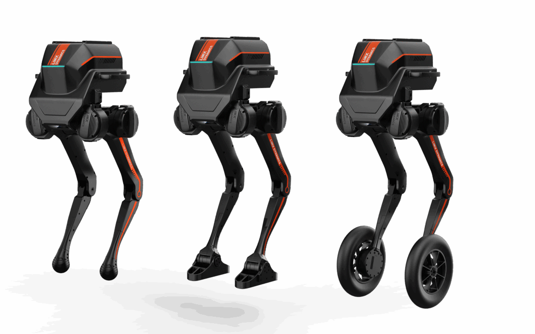 Biped Robot