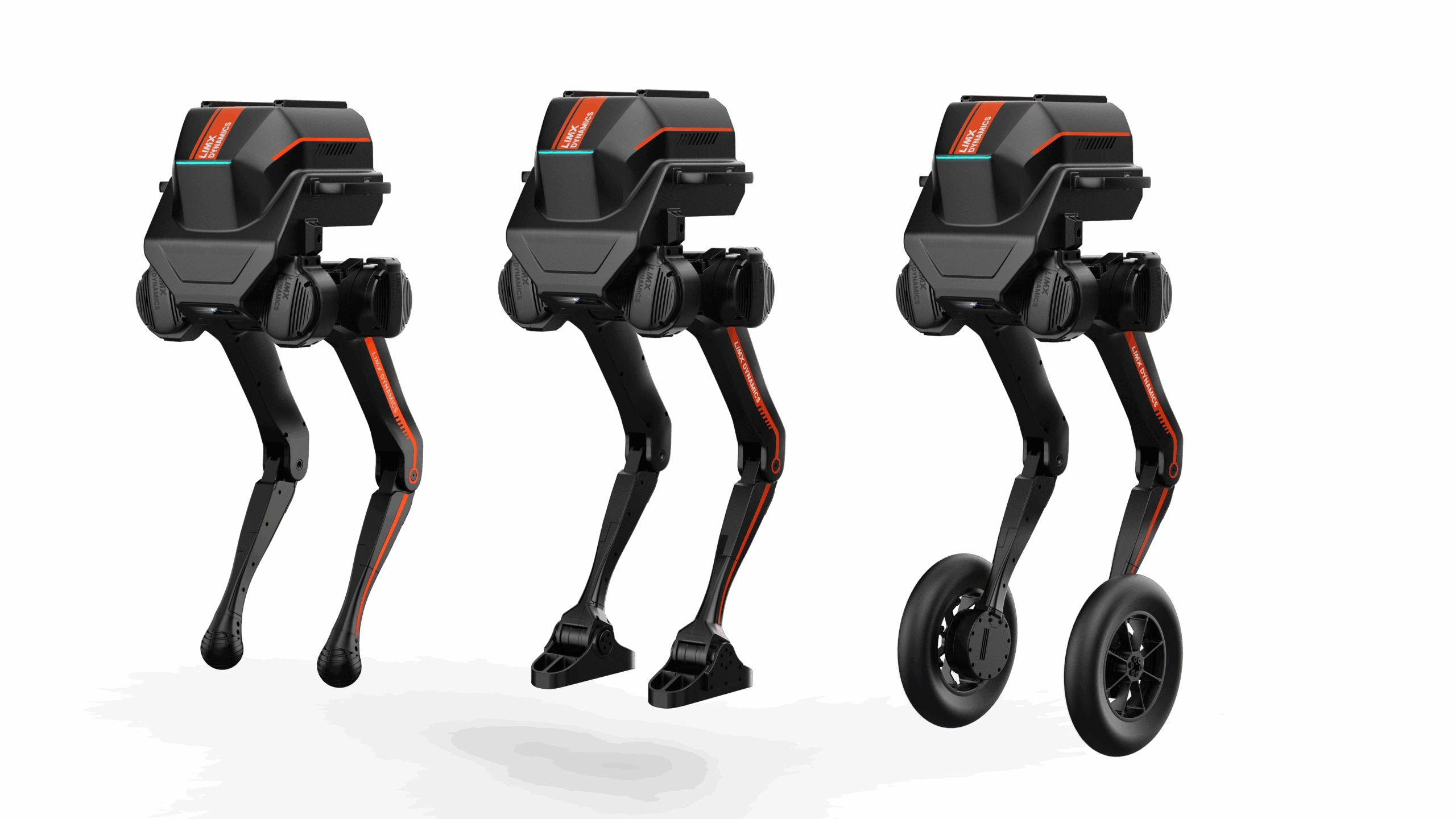 Biped Robot