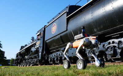 Wheeled quadrupeds: A versatile form factor