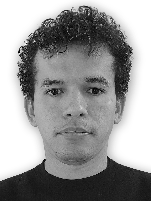 Embedded Systems Engineer