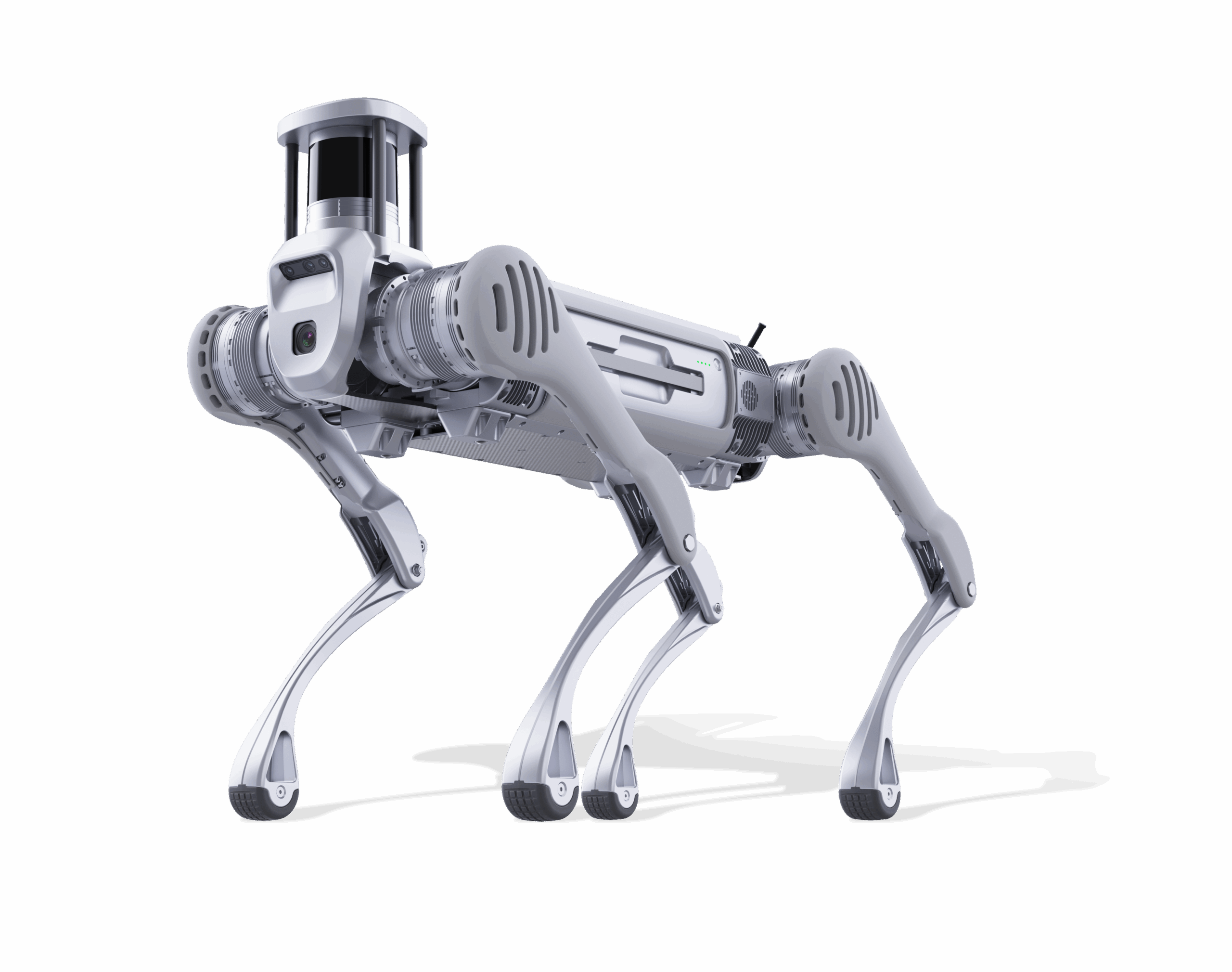 Unitree B2 Quadruped