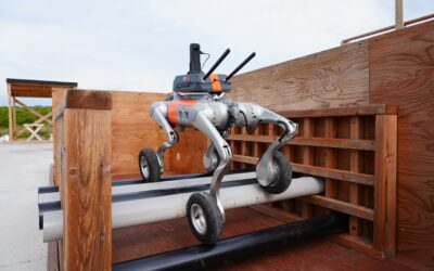 How InDro engineers robots for the real world