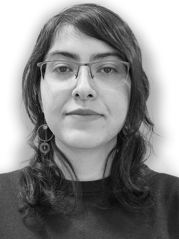 Embedded Systems Engineer