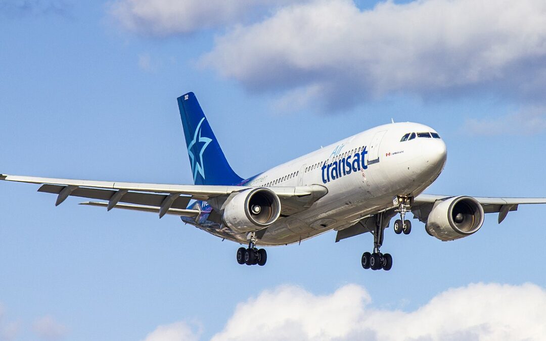 Wikimedia Commons photo by Aaron Davis